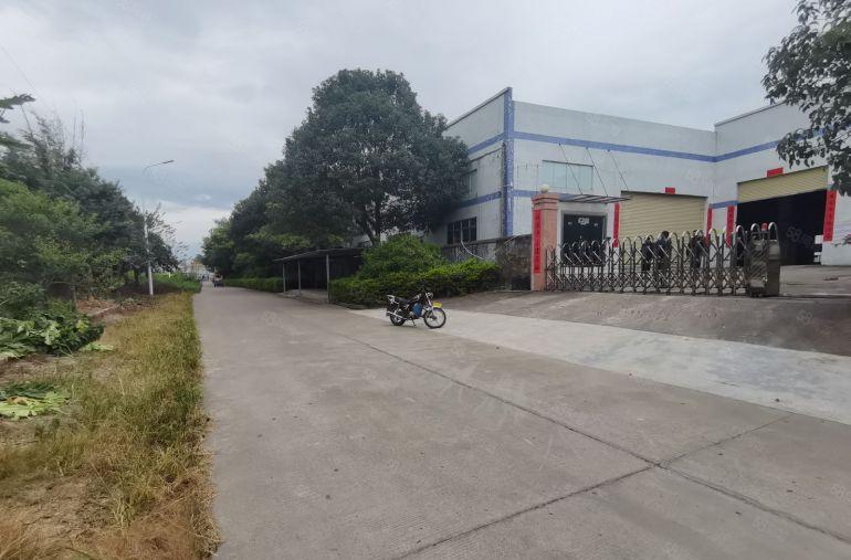 淡水东原房东独栋钢构厂房滴水7米无公摊低价打包出租