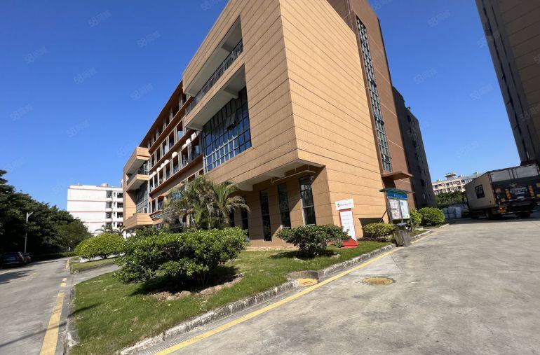 高11米惠阳秋长白石红本厂房3000平起出租带牛角带卸货平台