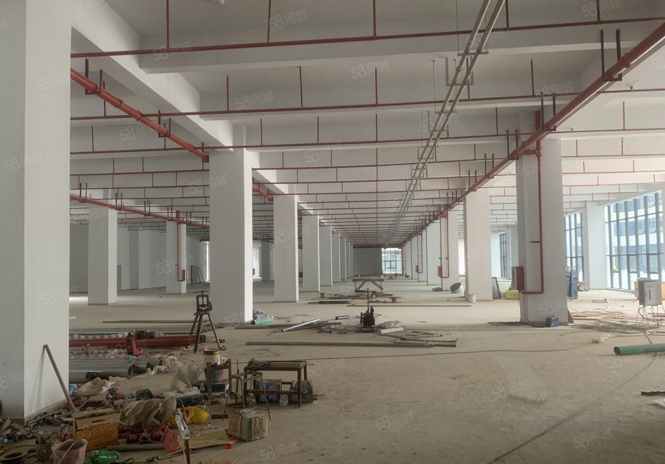 惠阳邻深片区原房东新建高薪产业园招租价格实在无公摊