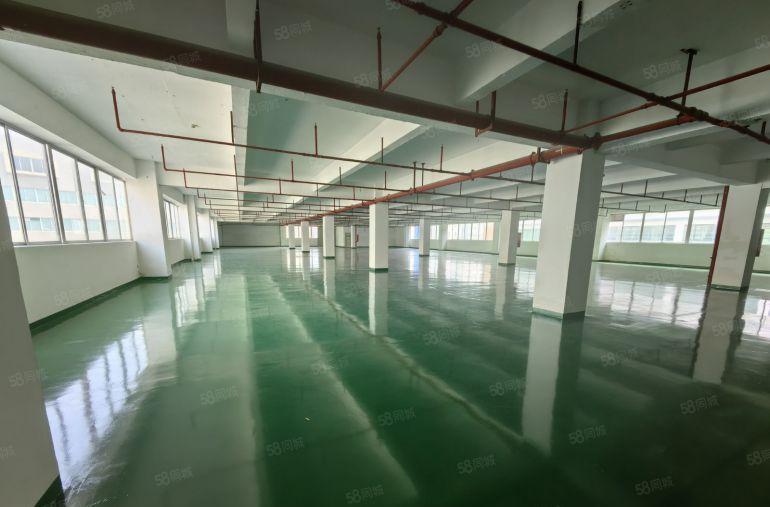 秋长白石高新园区原房东红本厂房1400平可分租现成地平漆低价