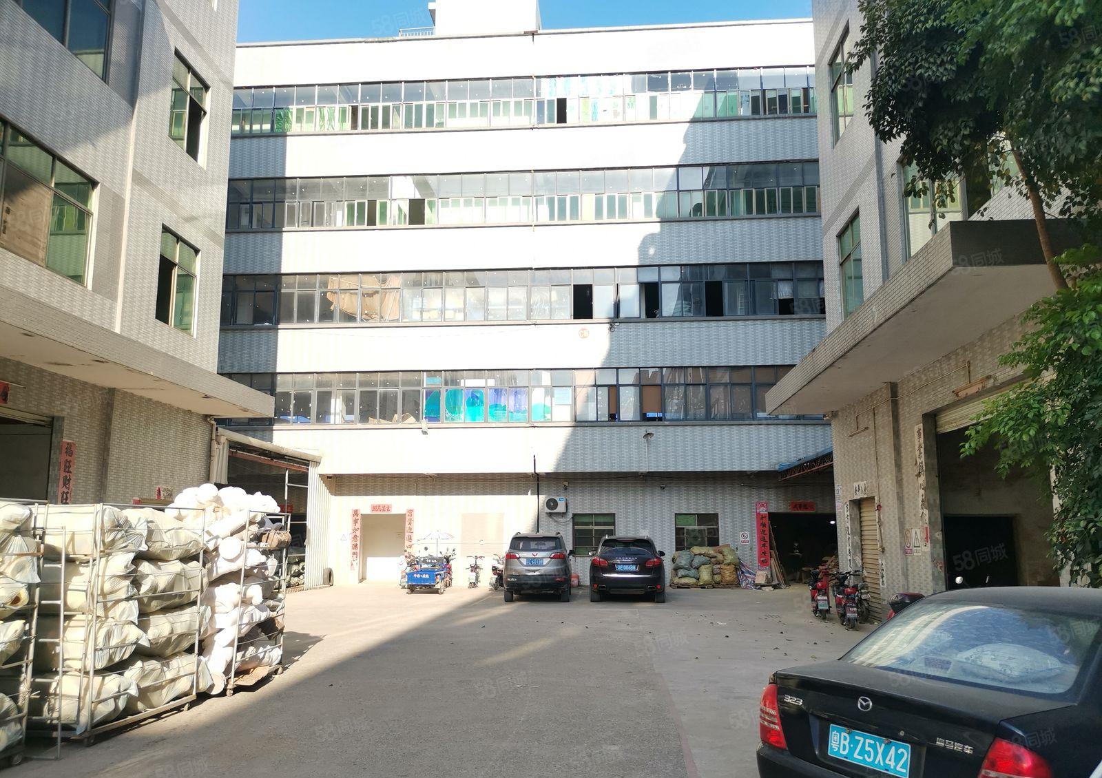 可做喷油！秋长新塘原房东标准厂房4楼600平便宜出租