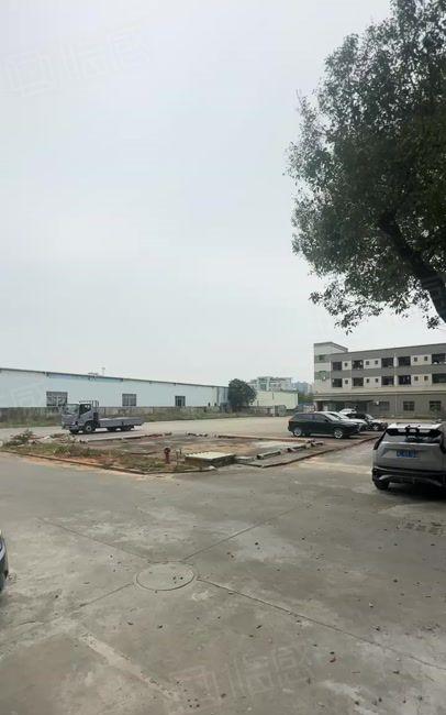 新圩长布7200平米红本钢构滴水十米500平方起分租