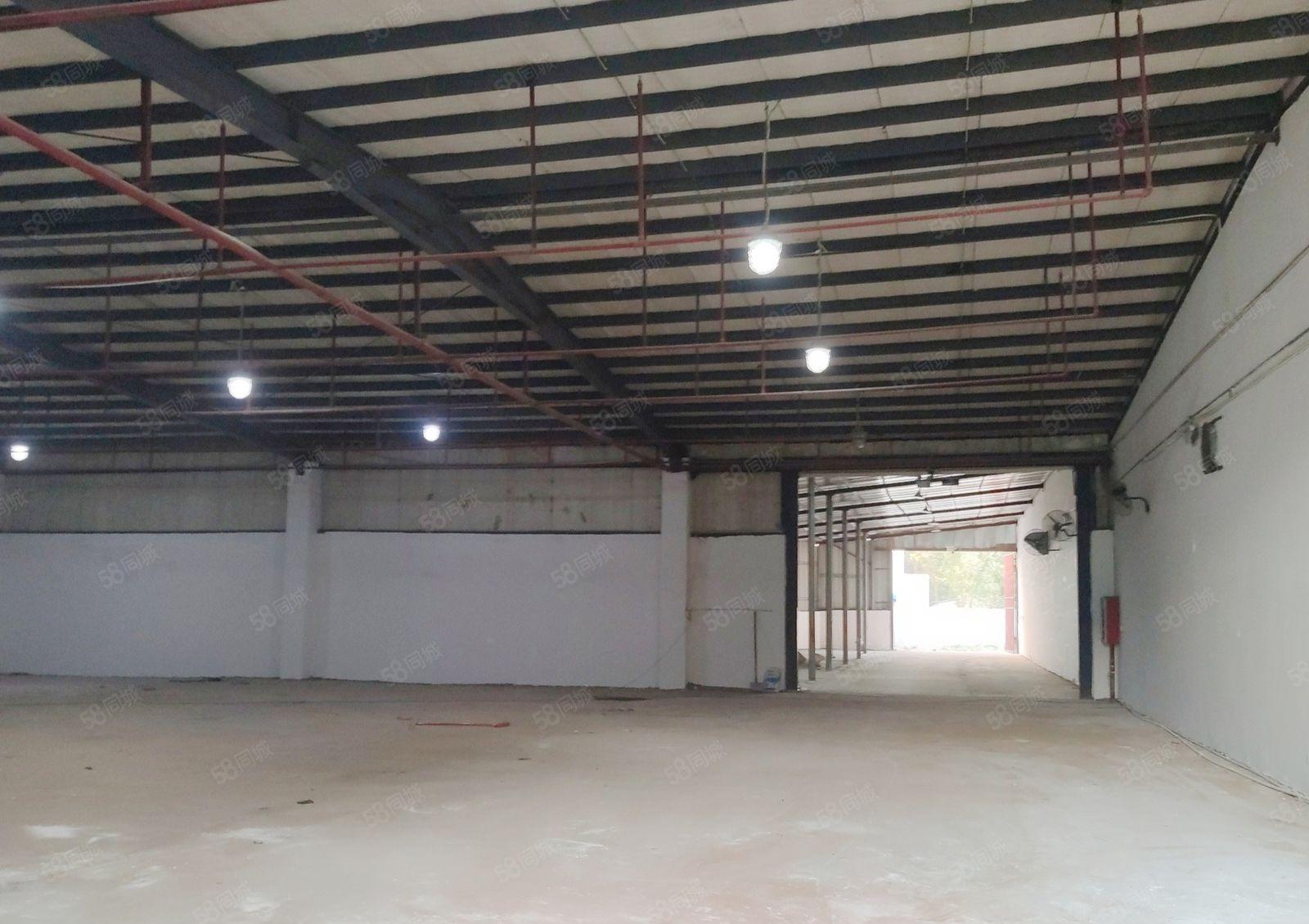 惠阳淡水白云六路 1650平 独院钢构 可做物流仓储