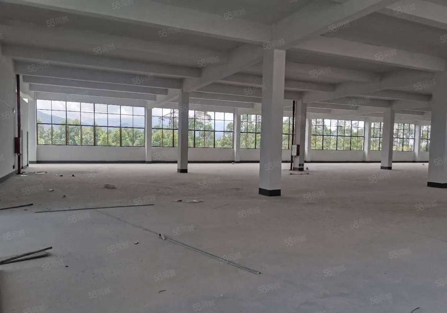 独门独院红本厂房四层6600平方，可以分租