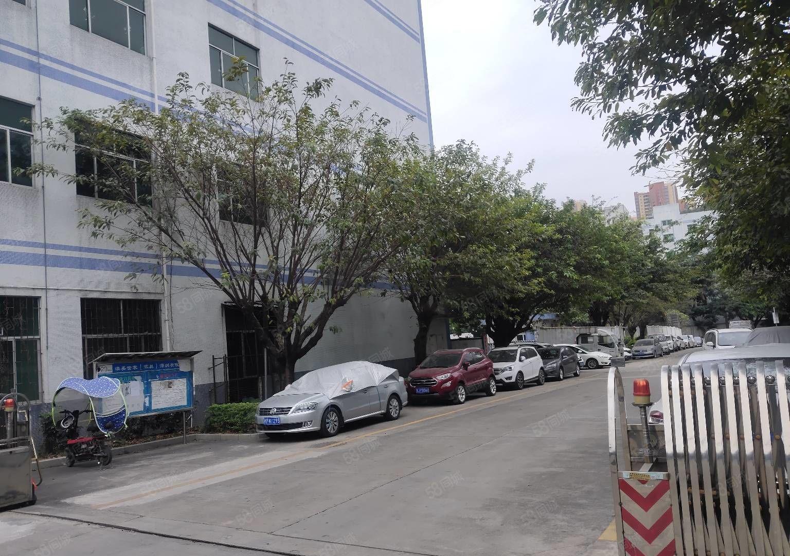 惠阳秋长5万平原房东工业园带装修厂房出租300平分租一楼6米