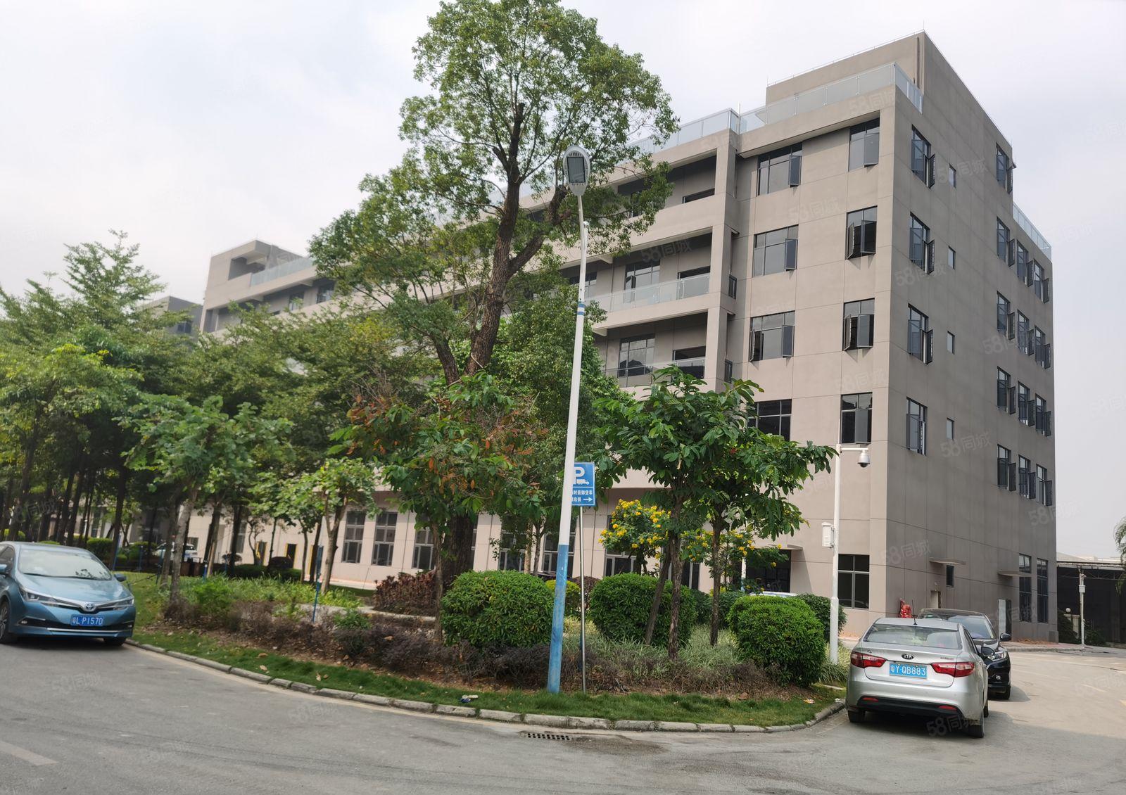 100平起租，镇隆第二工业园楼上1000平厂房出租 带环评