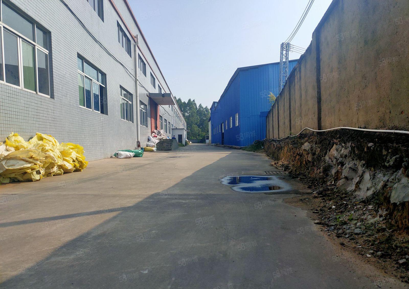 惠东县白花镇新出500平无公摊钢构厂房出租