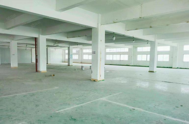 惠阳秋长独门独院5000平证件齐全可办环评