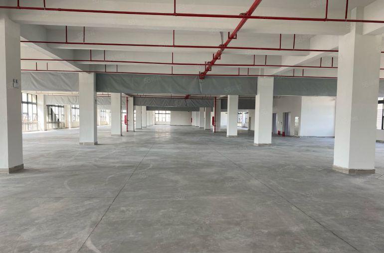 惠州临深莞上市公司形象原房东厂房6万平方米出租可分租