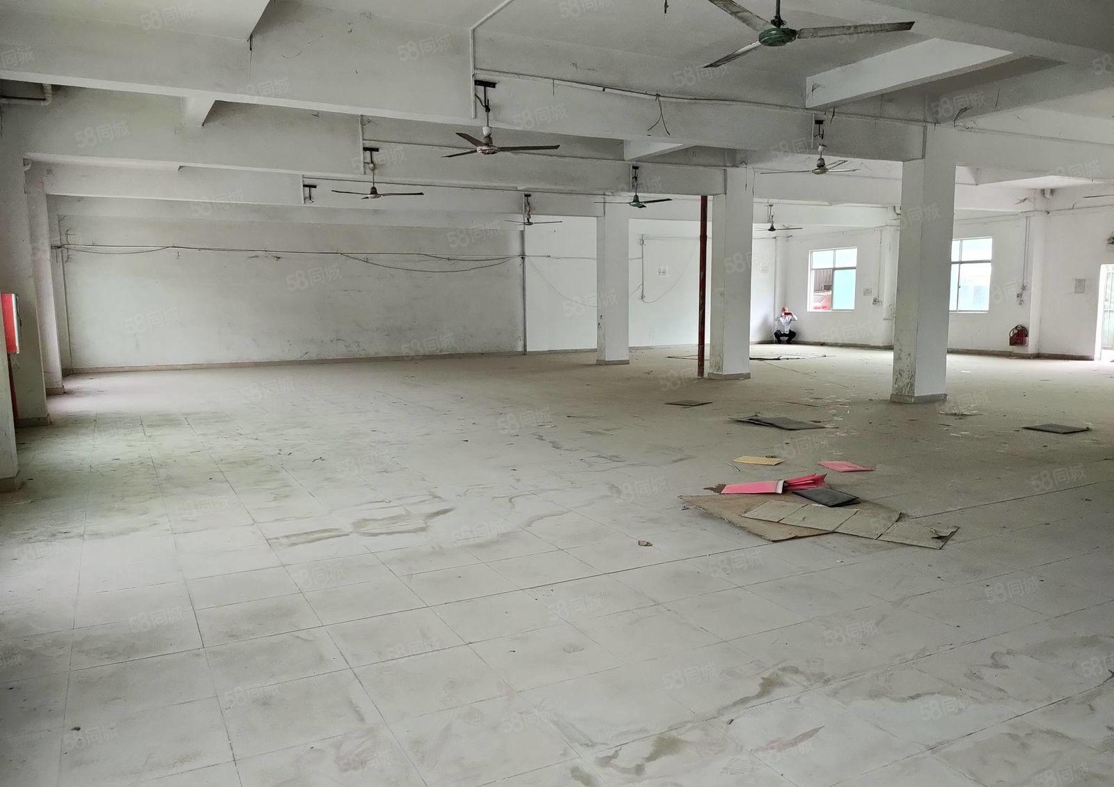 惠阳新圩红卫标准一楼600平方出租带现成办公室空地超大好进车