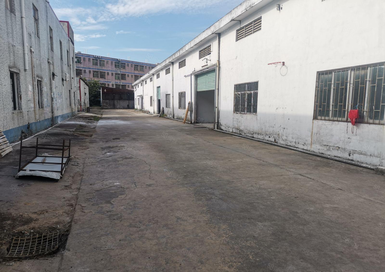 惠阳秋长白底价13块钢构1楼6000平分租！600平起分租！