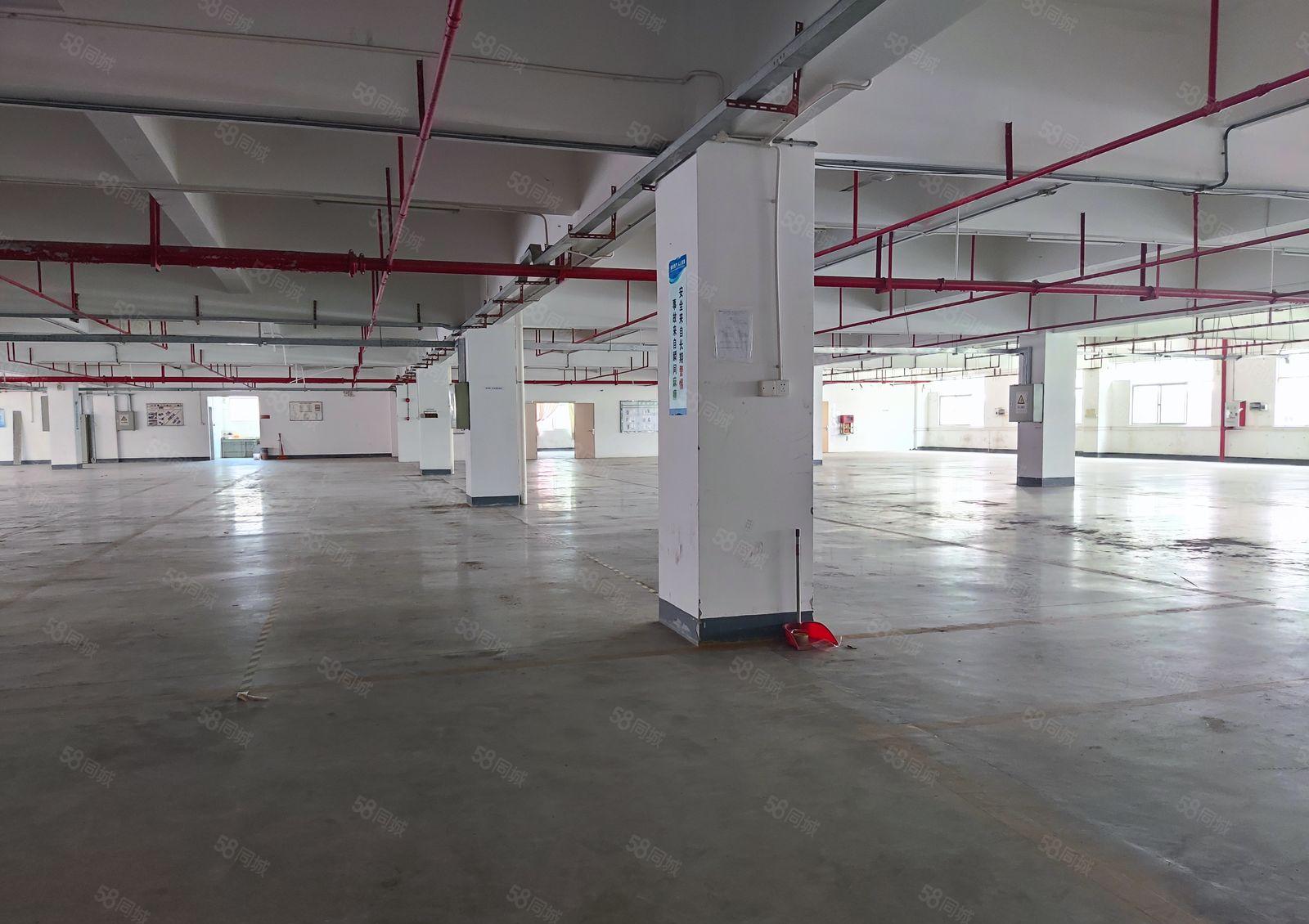 惠阳区秋长镇工业园区新出标准厂房4楼2000平米现成装修出租