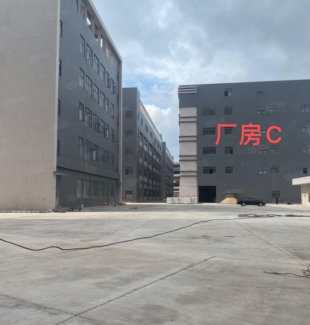 镇隆镇独门独院厂房出租全新厂房出租