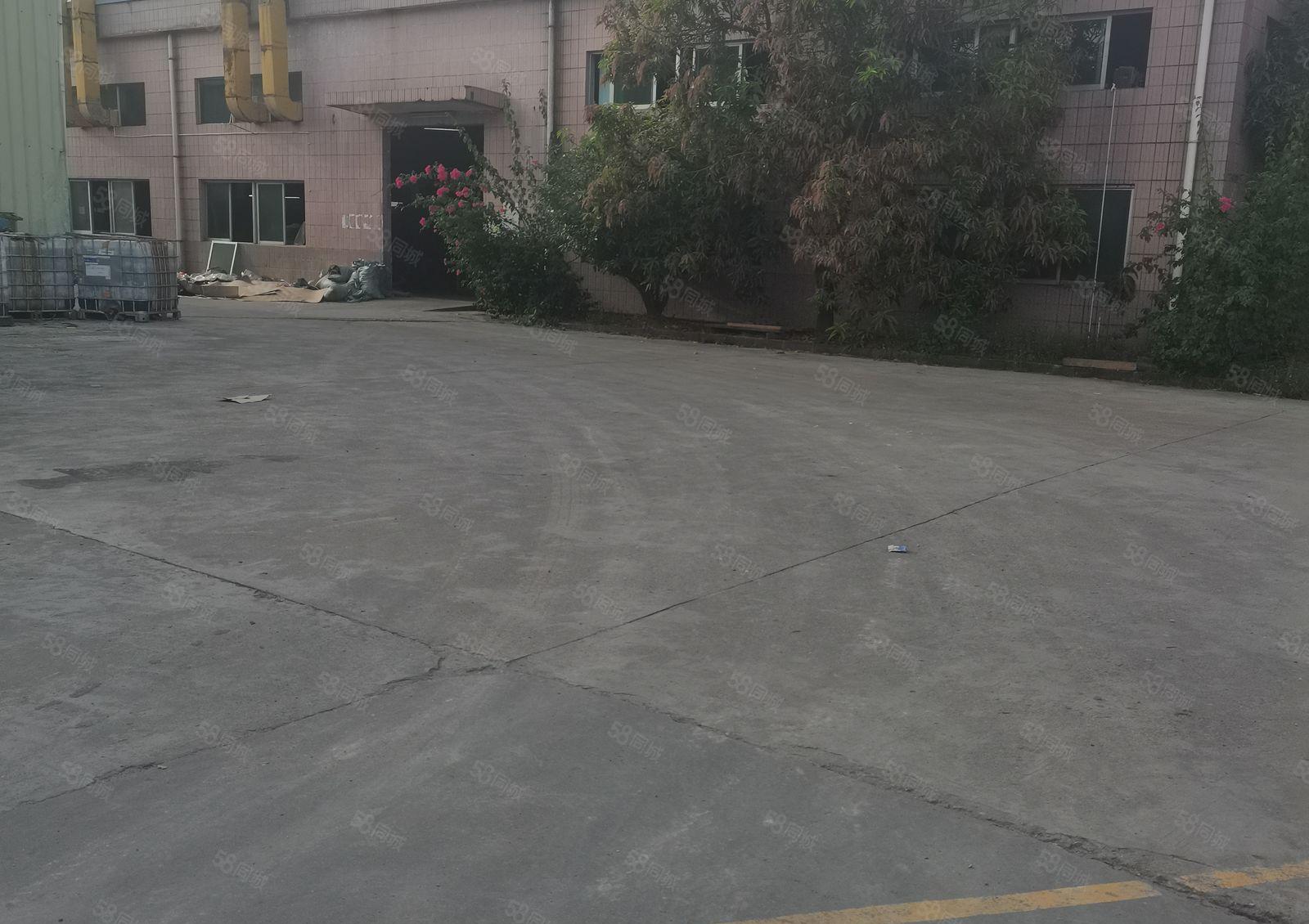 惠州秋长白石原房东花园式厂房钢构3000平米出租可办环评急租