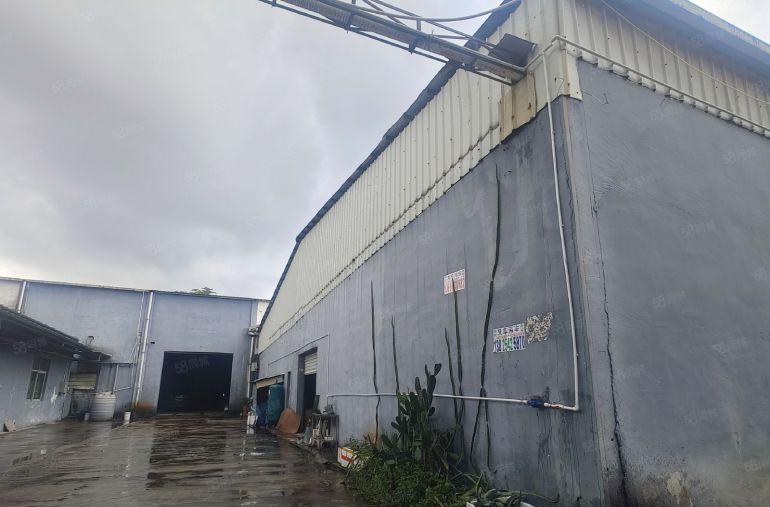 新圩新出1300平钢构厂房远离居民适合大多行业