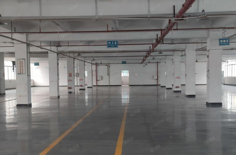 10元惠阳新圩长布原房东2000平标准厂房仓库出租，可办环评