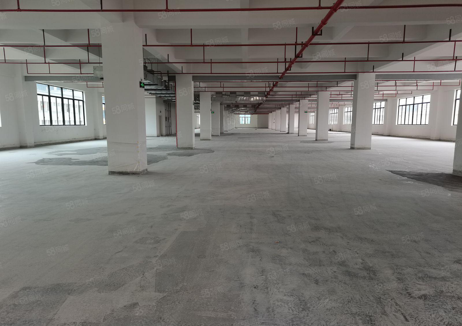 15元含税票价格，零公摊原房东红本厂房出租，可分租1千平方起