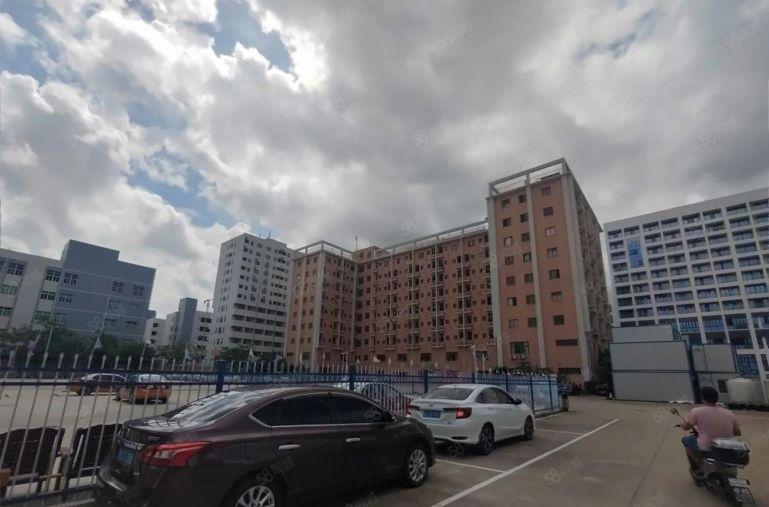 9块！新墟塘吓工业区3000平厂房仓库出租一楼带装修可分租