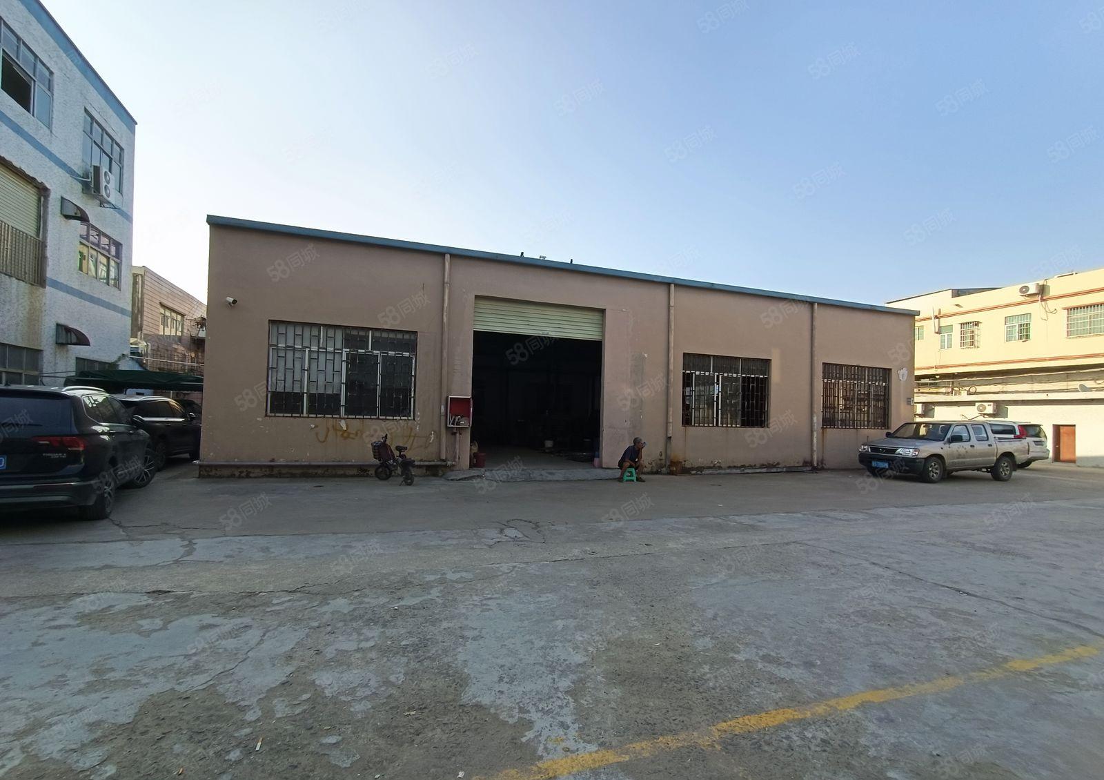 经典独栋！新圩新出单层钢构1000平厂房出租！滴水7米！！！