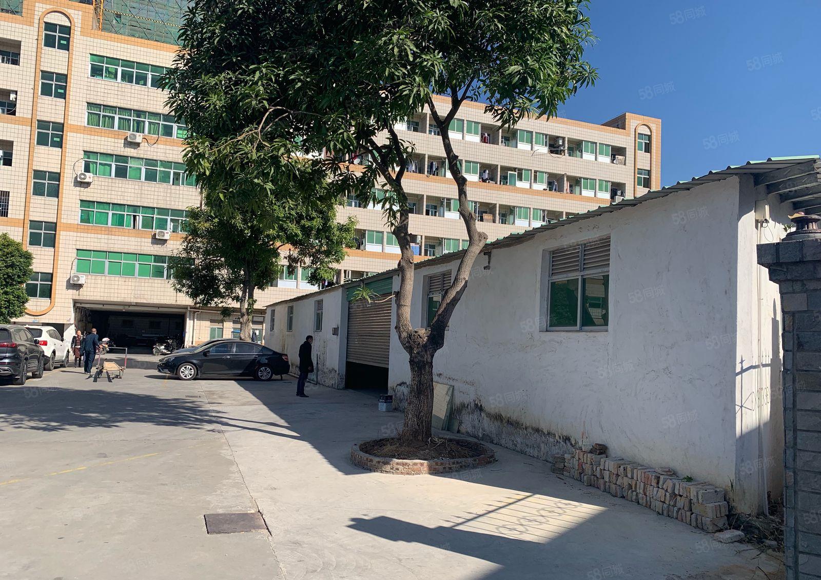 惠阳岭湖村 迎宾大道旁 原房东 实际面积出租 拖车进出方便