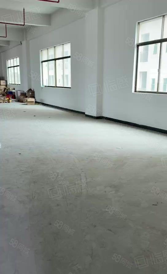 原房东直租新圩新出标准厂房三楼2580平米可办环评