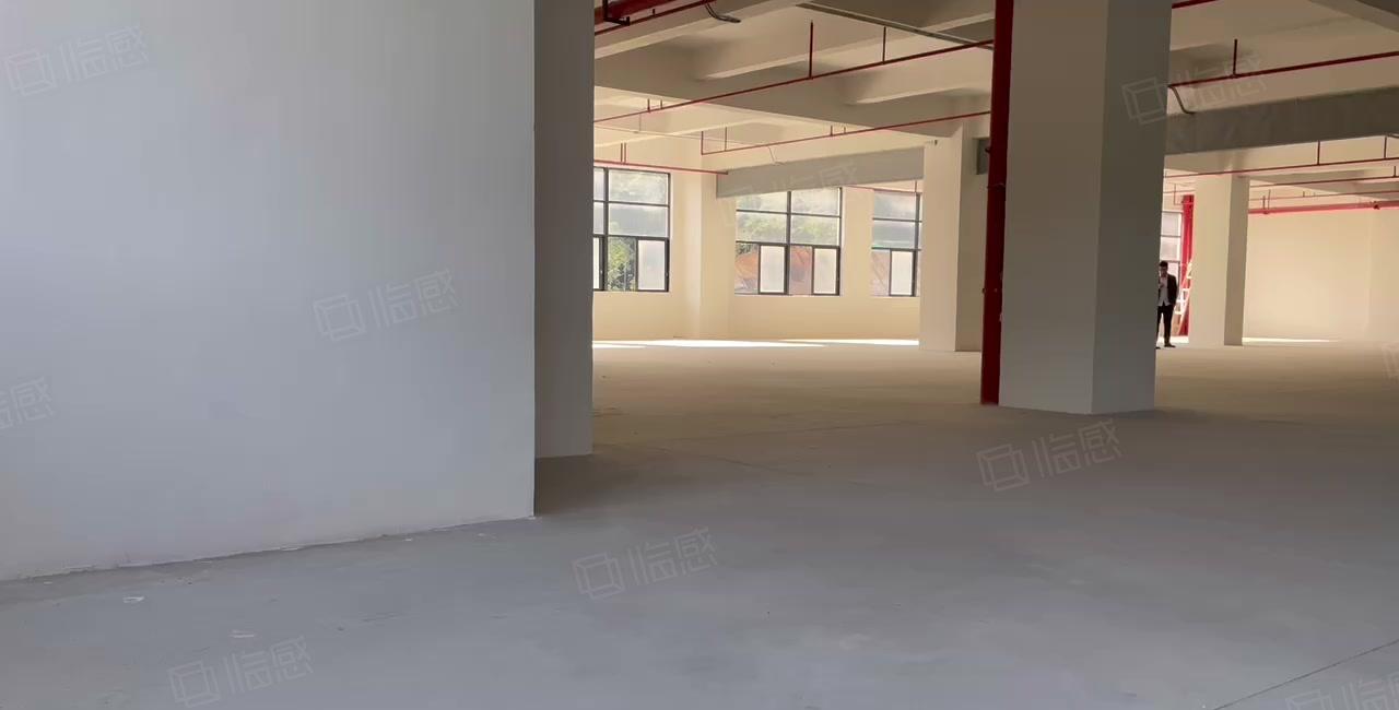 惠阳沙田2万独院厂房出租 证件全 可分租 一楼层高7米