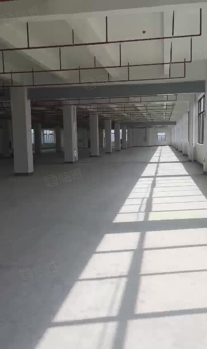 惠东县白花镇10元全新标准厂房3500平方楼上整层出租可分租