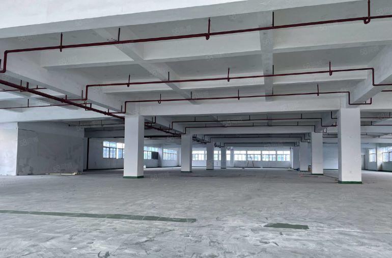 白石大湖工业区新出楼上2000平现成装修仓库厂房低价出租