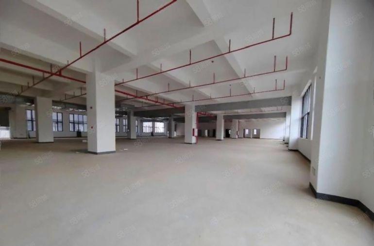 8块！惠阳淡水9000平仓库厂房出租产业园原房东红本可分