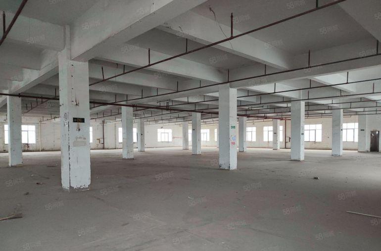 惠阳秋长将军路口旁原房东标准和钢构厂房