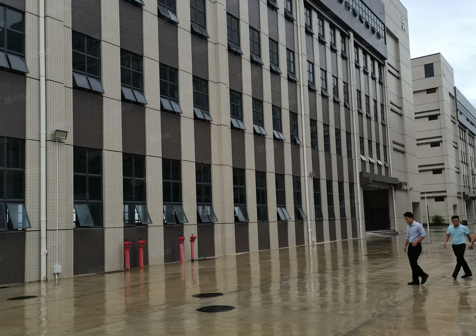 镇隆原房东全新工业区标准一楼2000平米厂房仓库出租可办环评