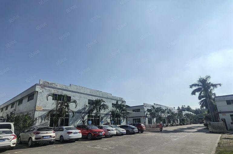 镇隆厂房出租独栋厂房3000平花园厂房可仓库出租空地大有办公