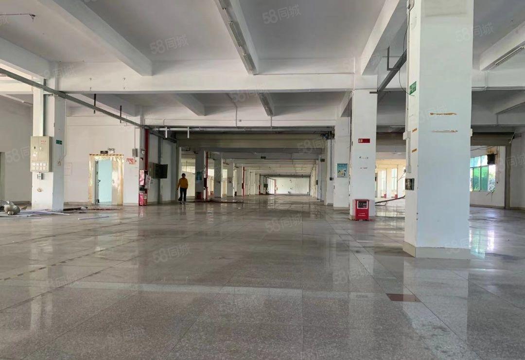 惠州惠阳秋长原房东独门独院标准厂房出租