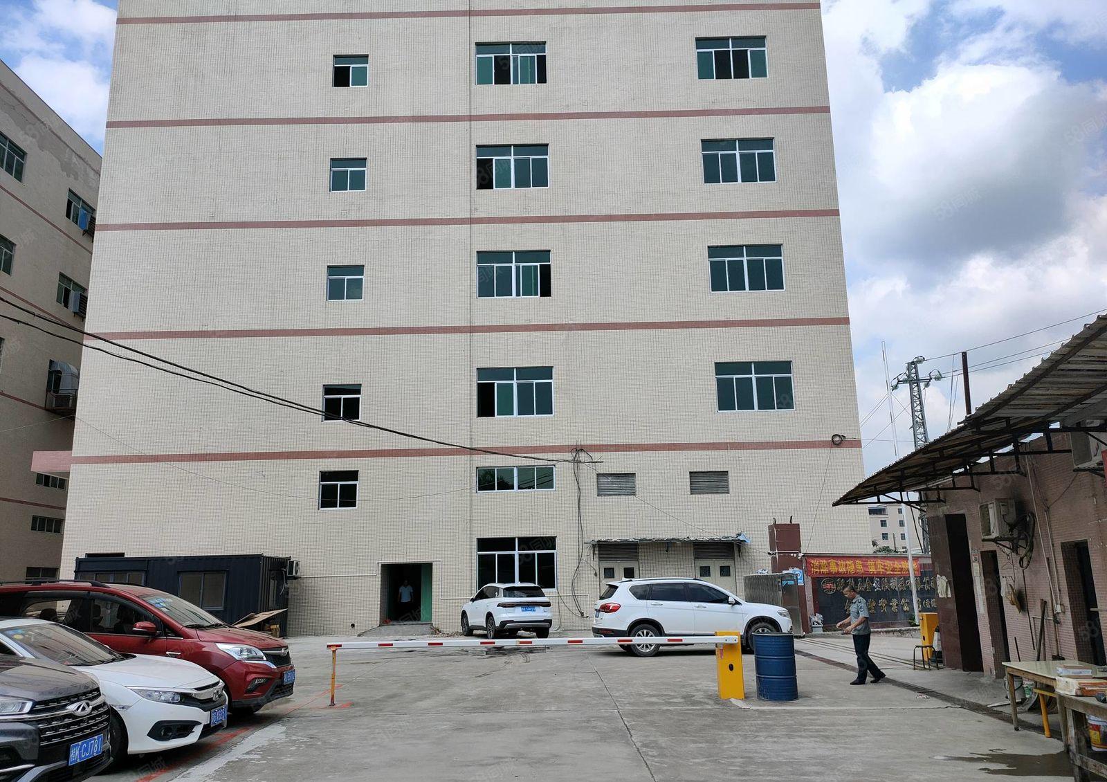 惠阳新圩约场高速路口附近15000平方全新独栋厂房招租7米高