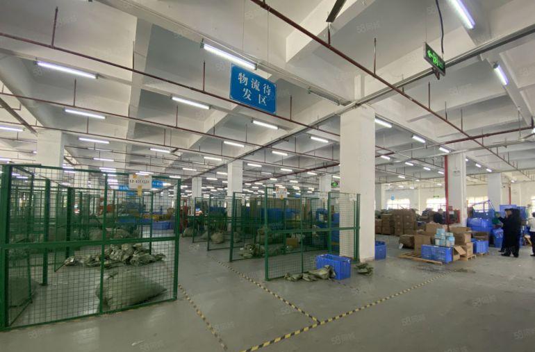 沙田原房东红本厂房实际面积花园式独院厂房5000平一楼6米