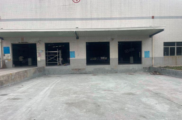 带货台 镇隆万里工业区新出5000平单一层厂房仓库低价出租