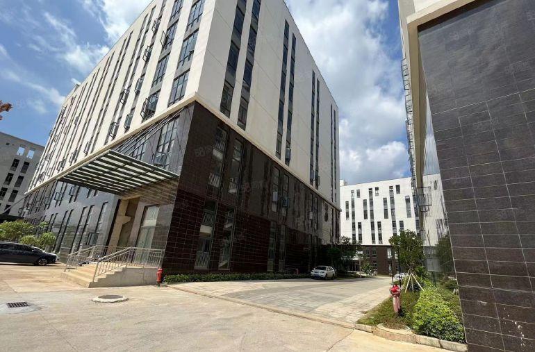 10元出租！临深全新现楼厂房精装修，即买即使用