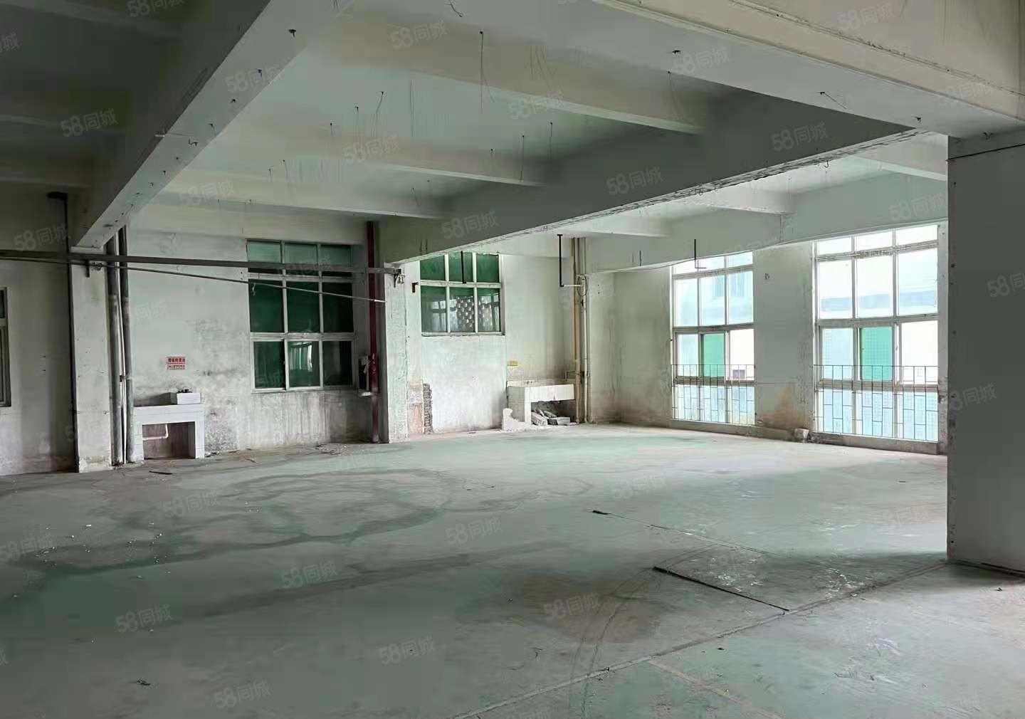 惠阳淡水新出标准厂房550平，证件齐全