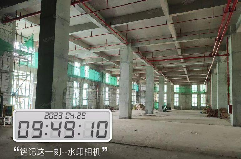 临深秋长开发商直租全新厂房，红本无公摊