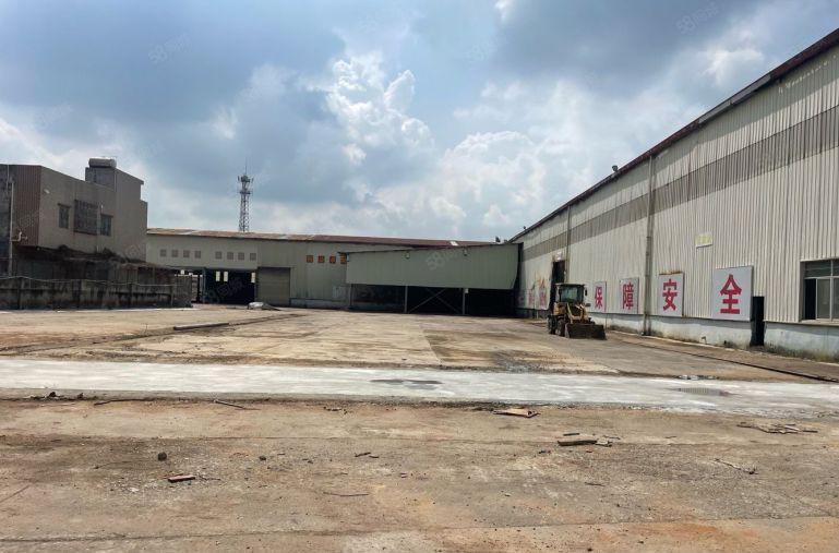 滴水9米！惠阳沙田5000平单一层钢构厂房仓库低价出租可分租