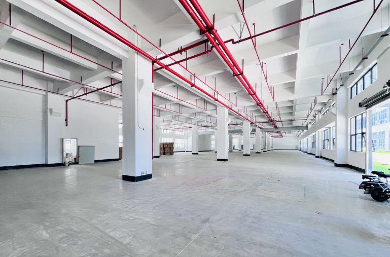 6块租新圩长布原房东18000平全新红本独院厂房