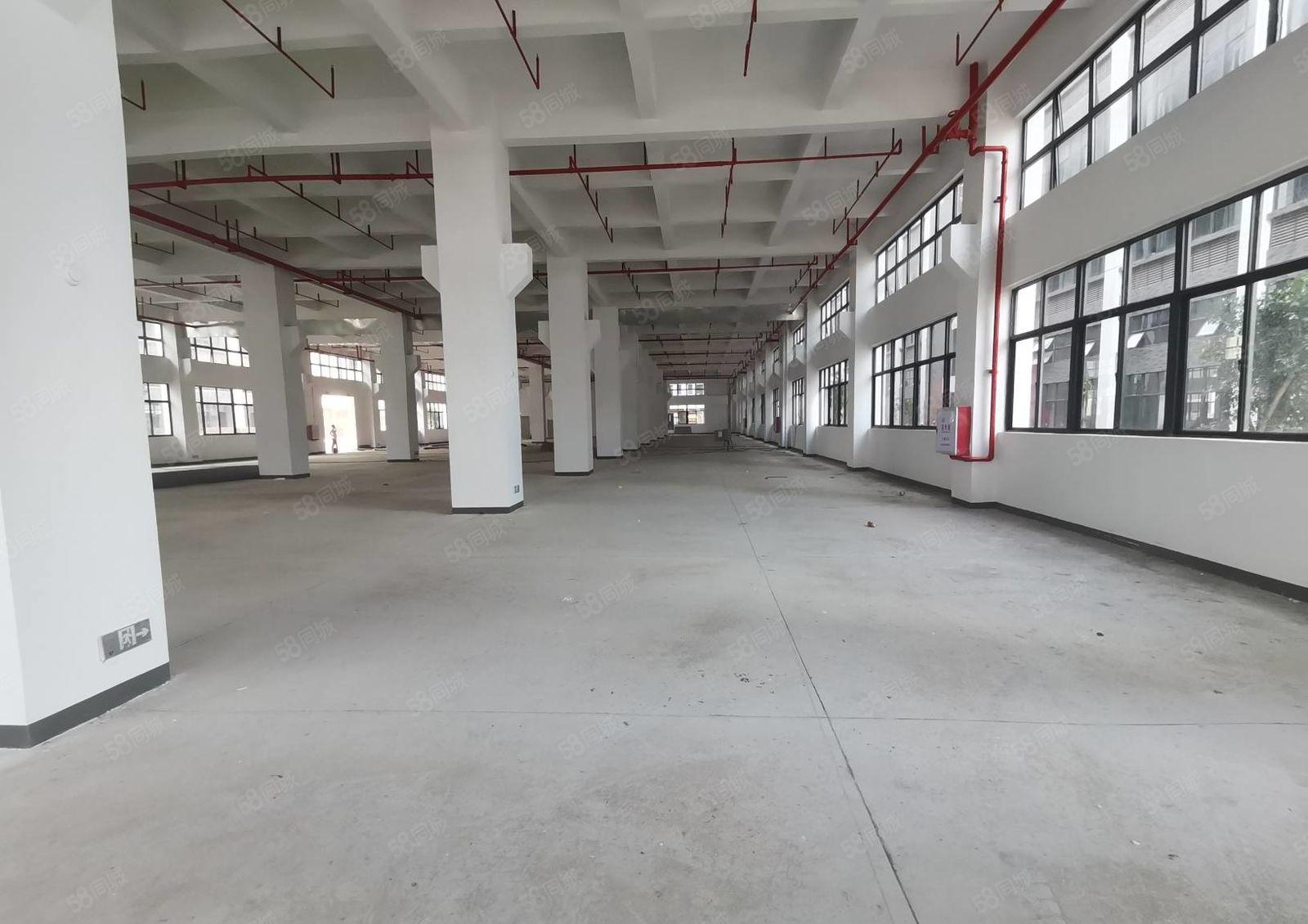 惠阳镇隆甘彼原房东工业园3万平厂房出租300平起分租一楼7米