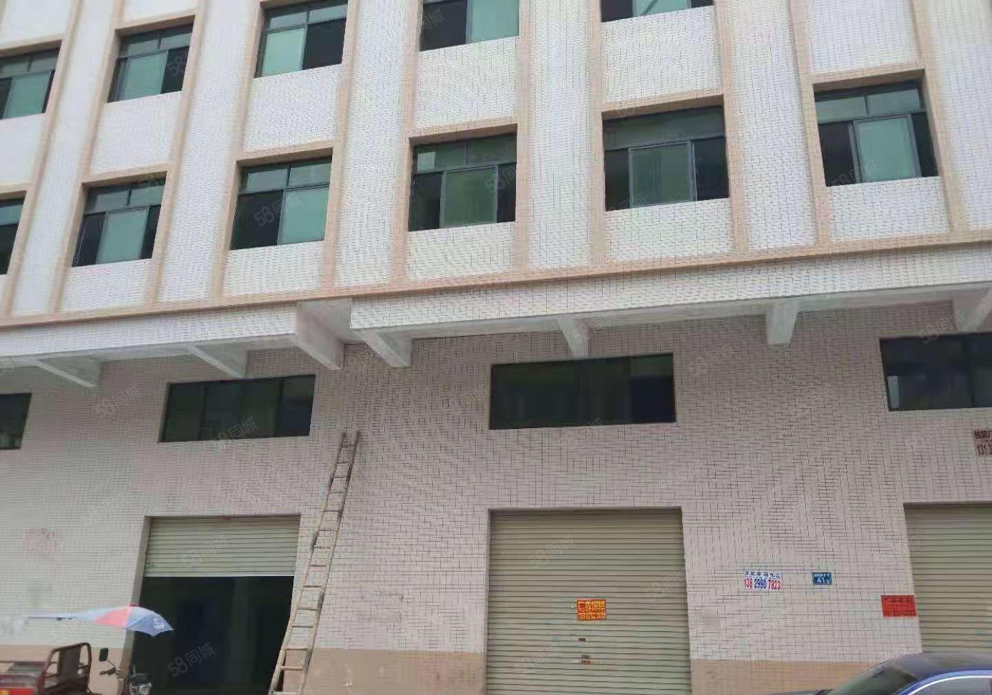 秋长新塘独栋厂房，证件齐全，大小可分