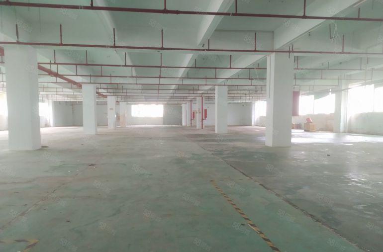 惠州惠阳镇隆原房东4000平独栋厂房低价出租园区形象好易招工