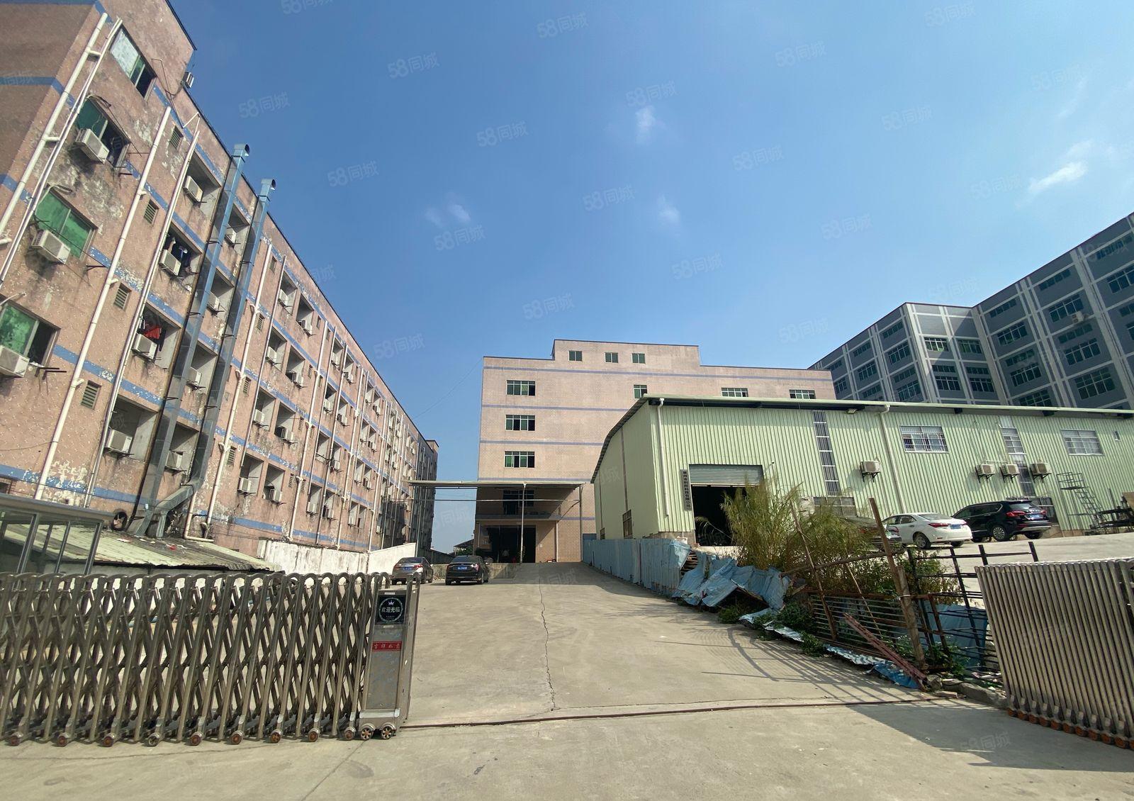 新圩国道旁独栋标准厂房出租4980平一层现成卸货平台可分租