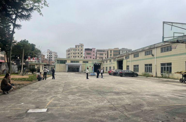 10元！镇隆1500平原房东单一层钢构厂房仓库出租可分租