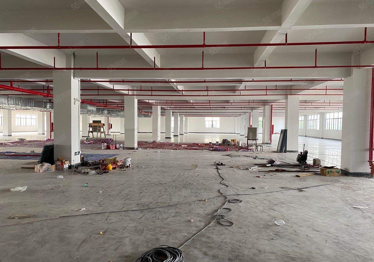 1000平起租镇隆高速口全新厂房独栋8000平出租