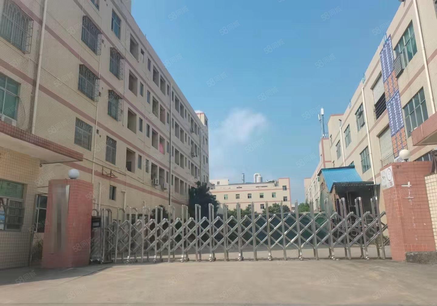 惠阳球场白石新出标准3层小独院7000平米可分租