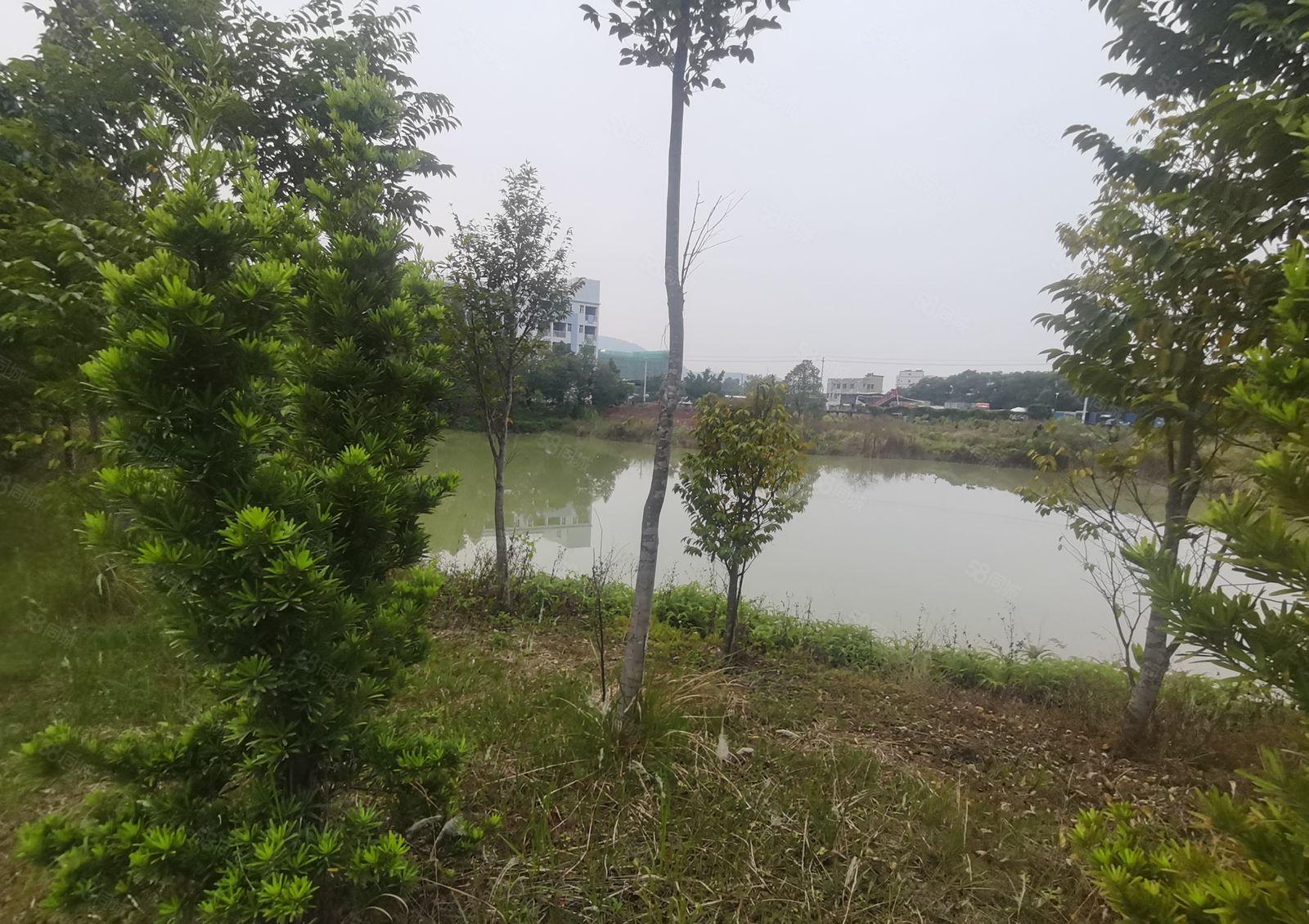 惠州仲恺高新区森林工厂之称8000平米花园式厂房出租有红本