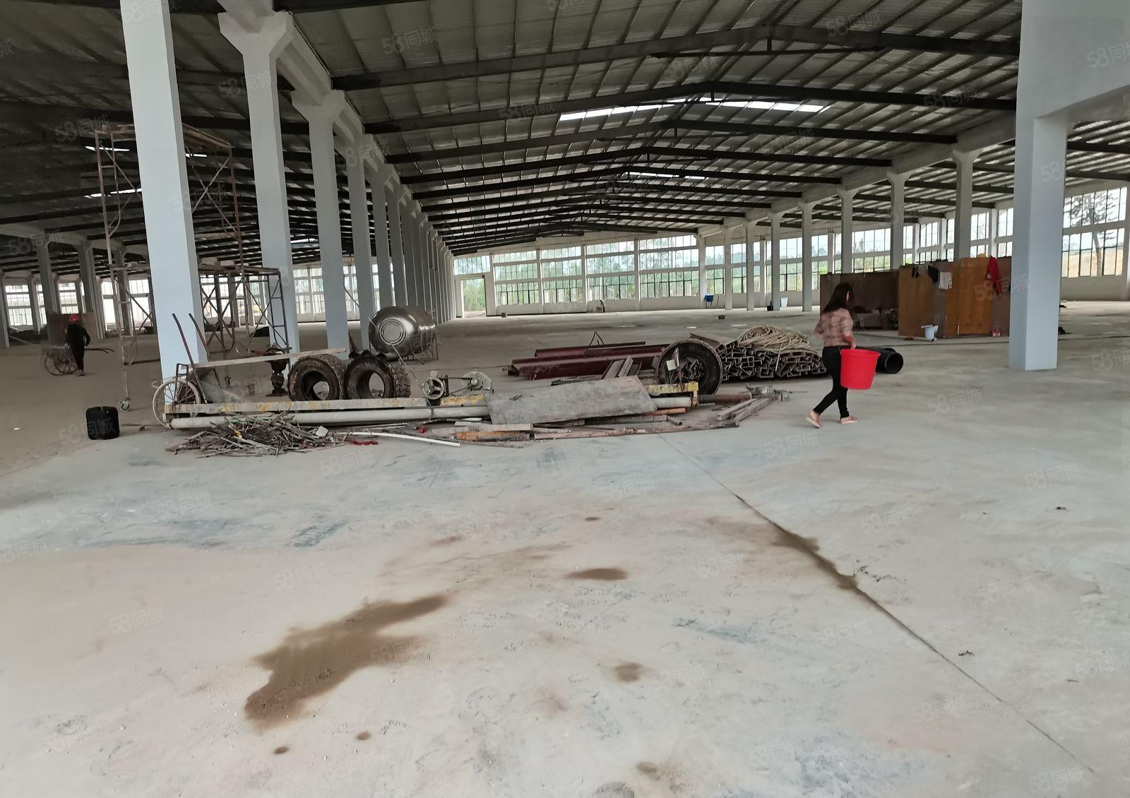 惠州市新圩镇原房东钢结构独门独院88000平方招租